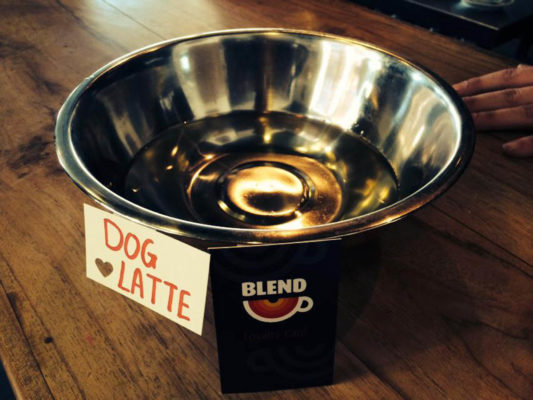 dog friendly and open to all